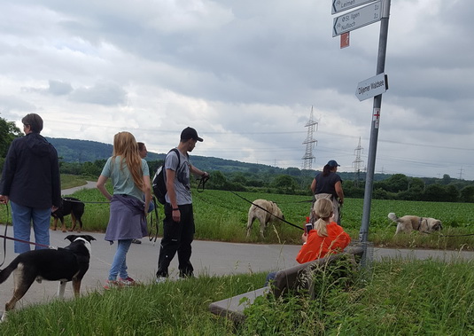 Hundewanderung