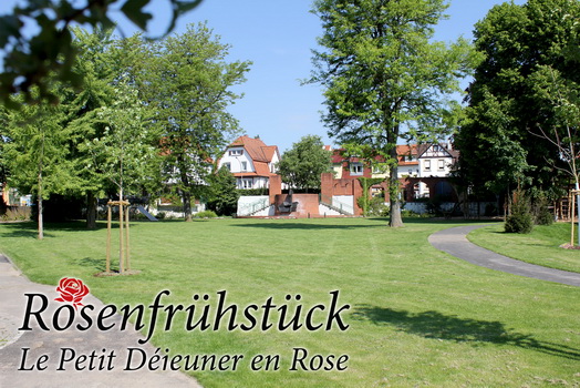 Gefrühstückt wird in Rot