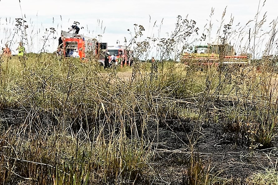 Walldorf: Flächenbrand auf abgeerntetem Acker