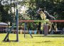 Agility-Turnier 2017 beim Verein der Hundefreunde Walldorf