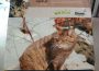 “Wildkatzensprung” – Ausstellung in der Stadtbücherei Walldorf