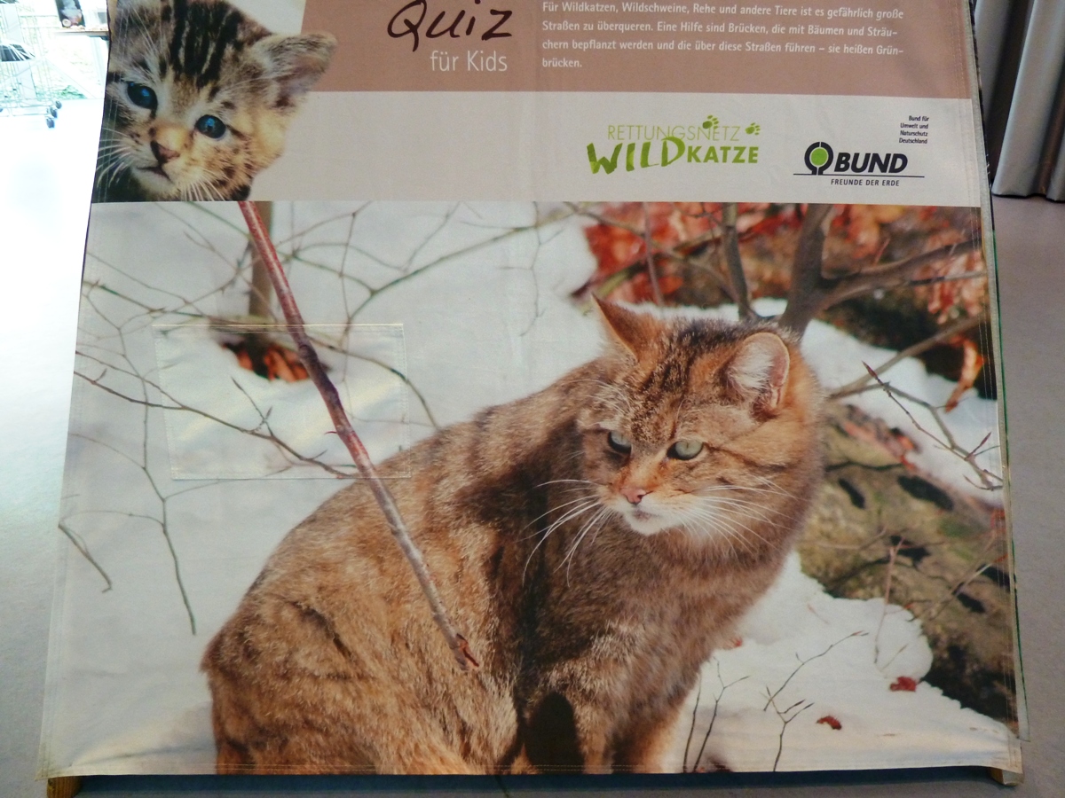 “Wildkatzensprung” – Ausstellung in der Stadtbücherei Walldorf