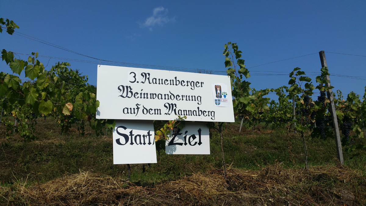 3. Rauenberger Weinwanderung – Rückblick mit großer Fotostrecke und Video