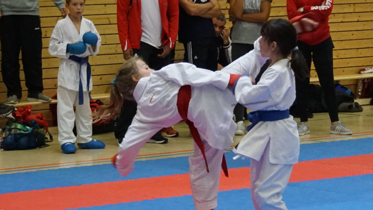 Gold und Silber für KG Rhein-Neckar Karateka in NRW