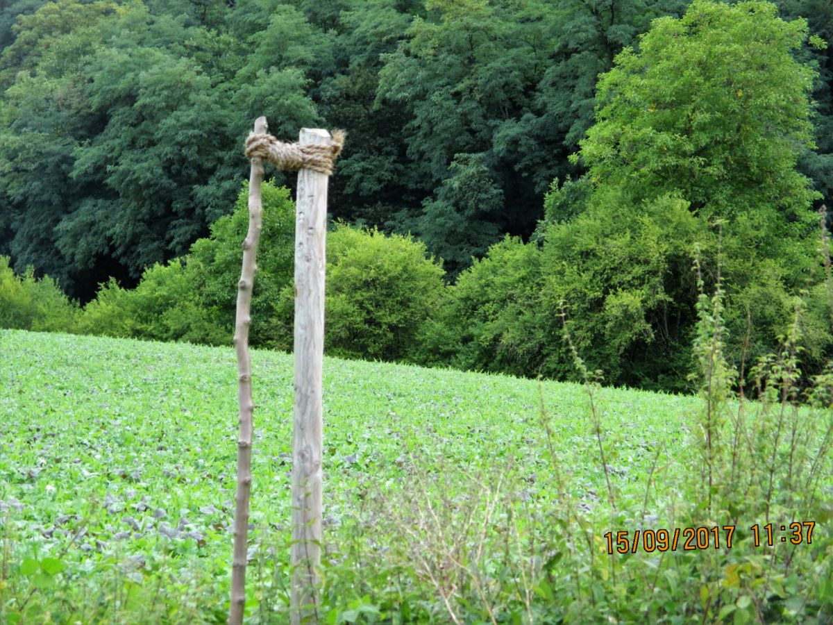 Anschlag gegen den Naturschutz in Altwiesloch – wer hat was bemerkt