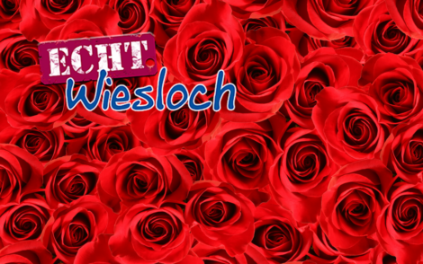Vormerken: Wieslocher Rosensamstag