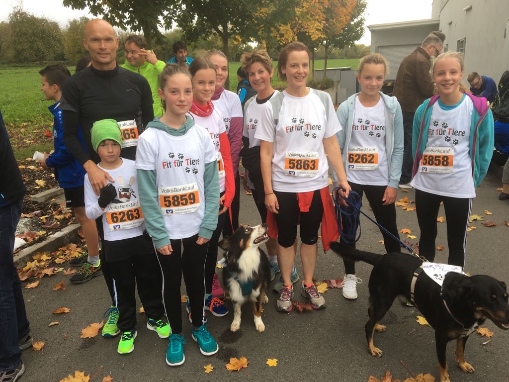 Volksbanklauf mit Tom-Tatze Team