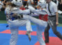 Wieslocher TAE-KWON-DO Jugendteam in Topform