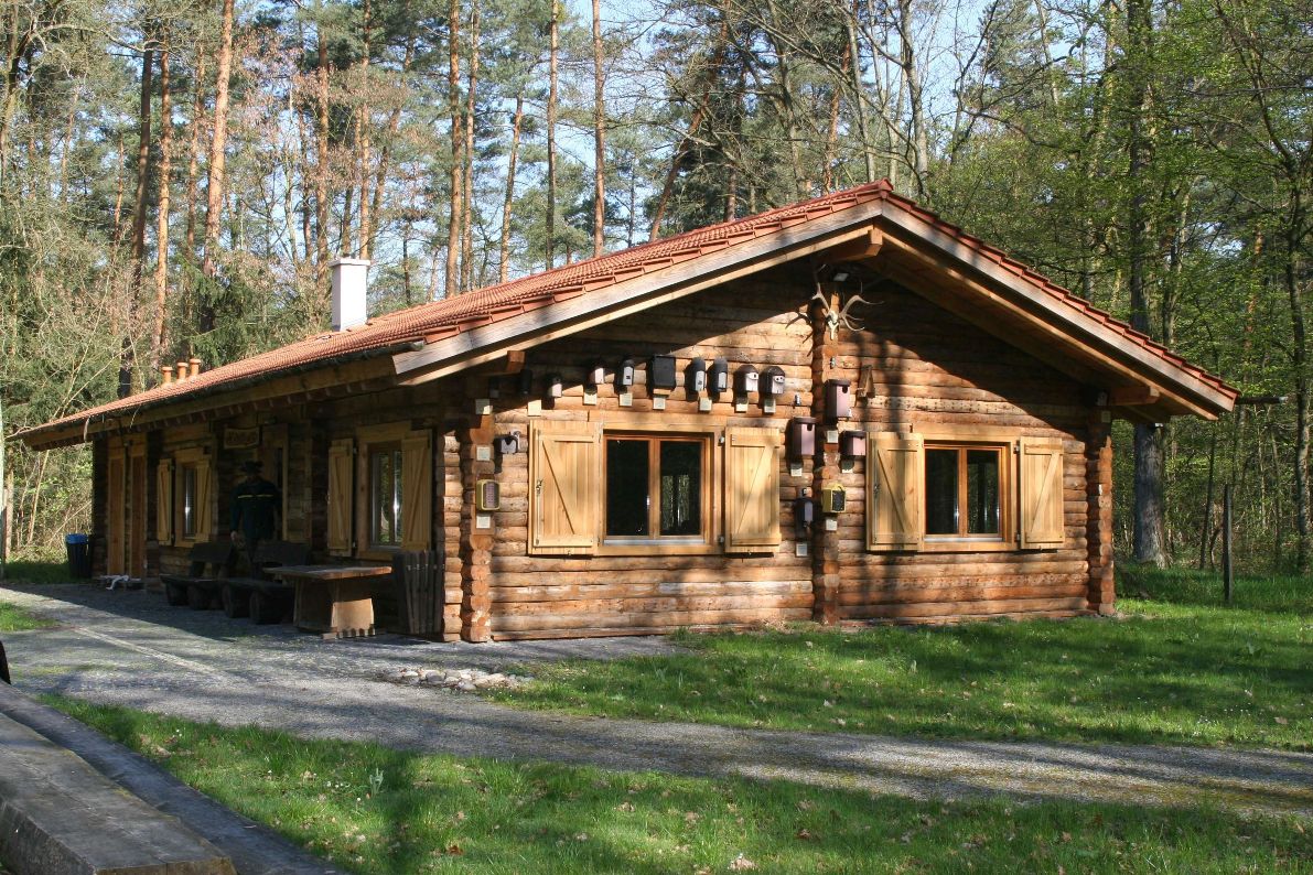 Das Waldklassenzimmer im SWR-Fernsehen am 26.10.