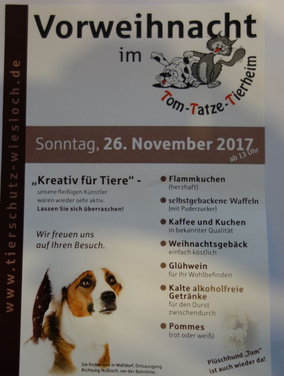 Vorweihnacht im Tom-Tatze-Tierheim am 26.11.2017