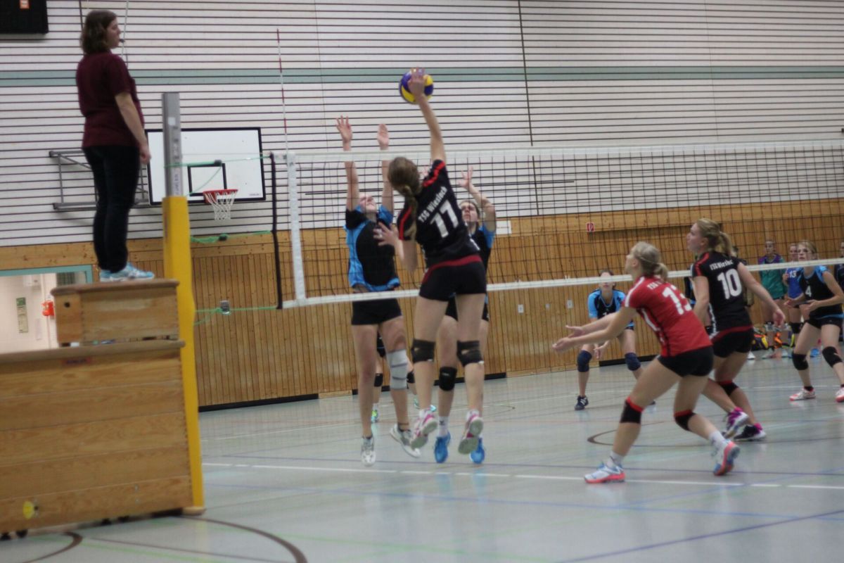Volleyball-Kreisliga-Mannschaften halten die Wieslocher Fahnen hoch