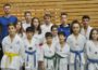 Tae-Kwon-Do Koleyko Wiesloch bei der Landesmeisterschaft