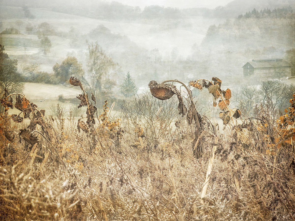 Photomorphosis – Landschaftsbilder aus der Region im BÜTZ