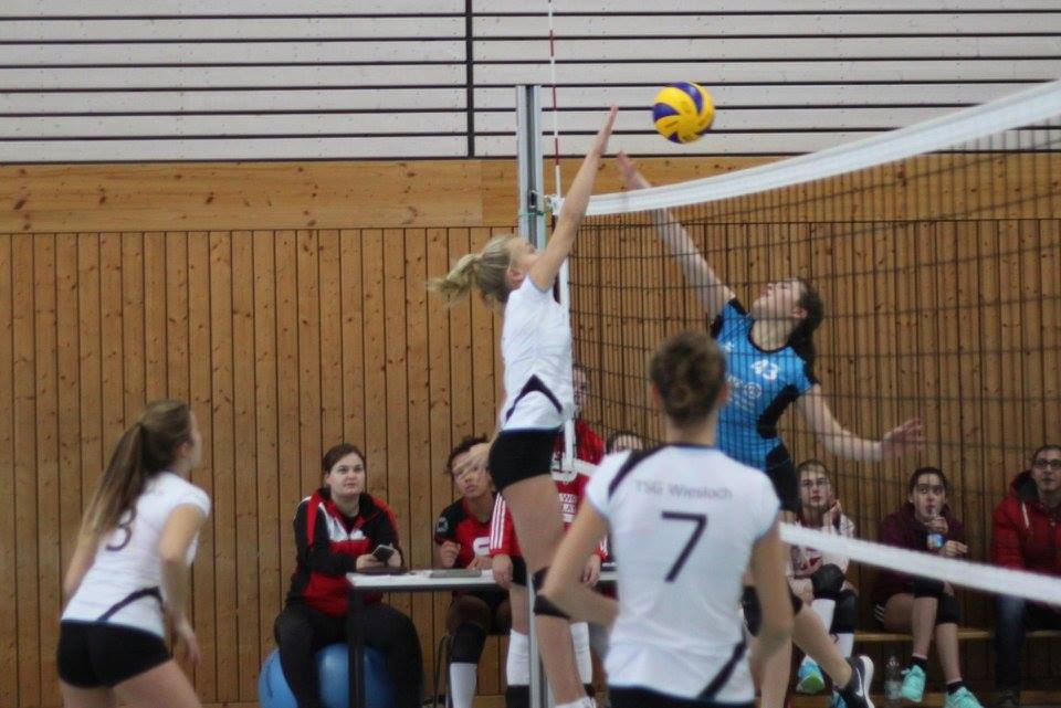 Siegreiche Wieslocher U16-Volleyballerinnen