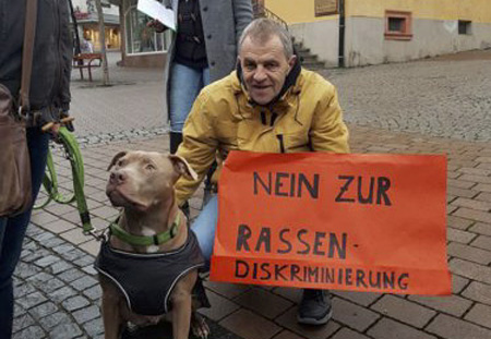Stellungnahme des Tierschutzvereins zur Hundesteuererhöhung