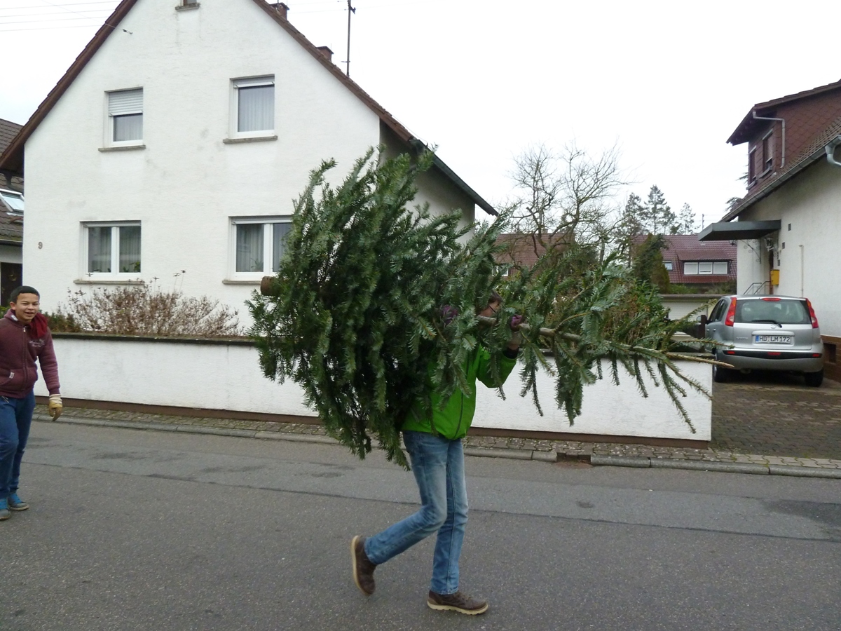 Tannenbaumaktion 2018 der EGJ in Walldorf