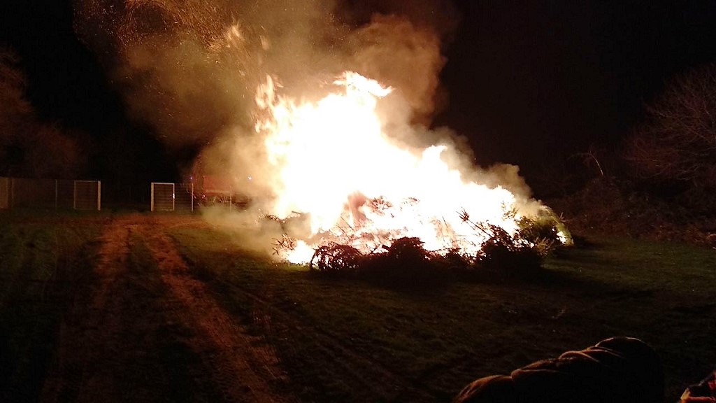 Jugendfeuerwehren sammelten Christbäume ein