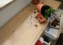 Walldorf: Städtisches Förderprogramm zum Einbruchschutz nutzen