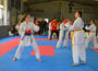 Karate Spring Games – Talentsichtung und -förderung im Rhein-Neckar-Raum