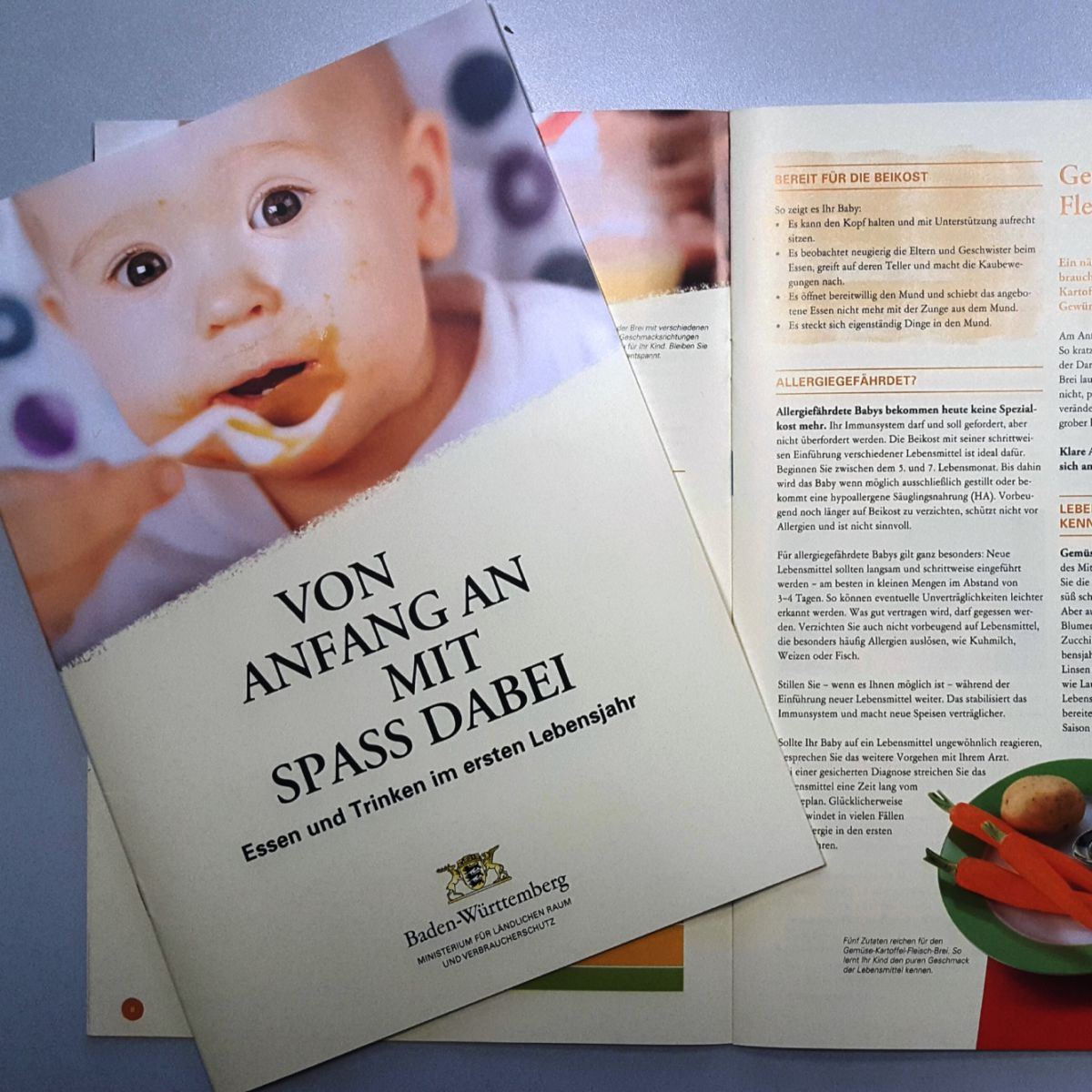 „Babykost selbst gekocht“  – Bewusste Kinderernährung
