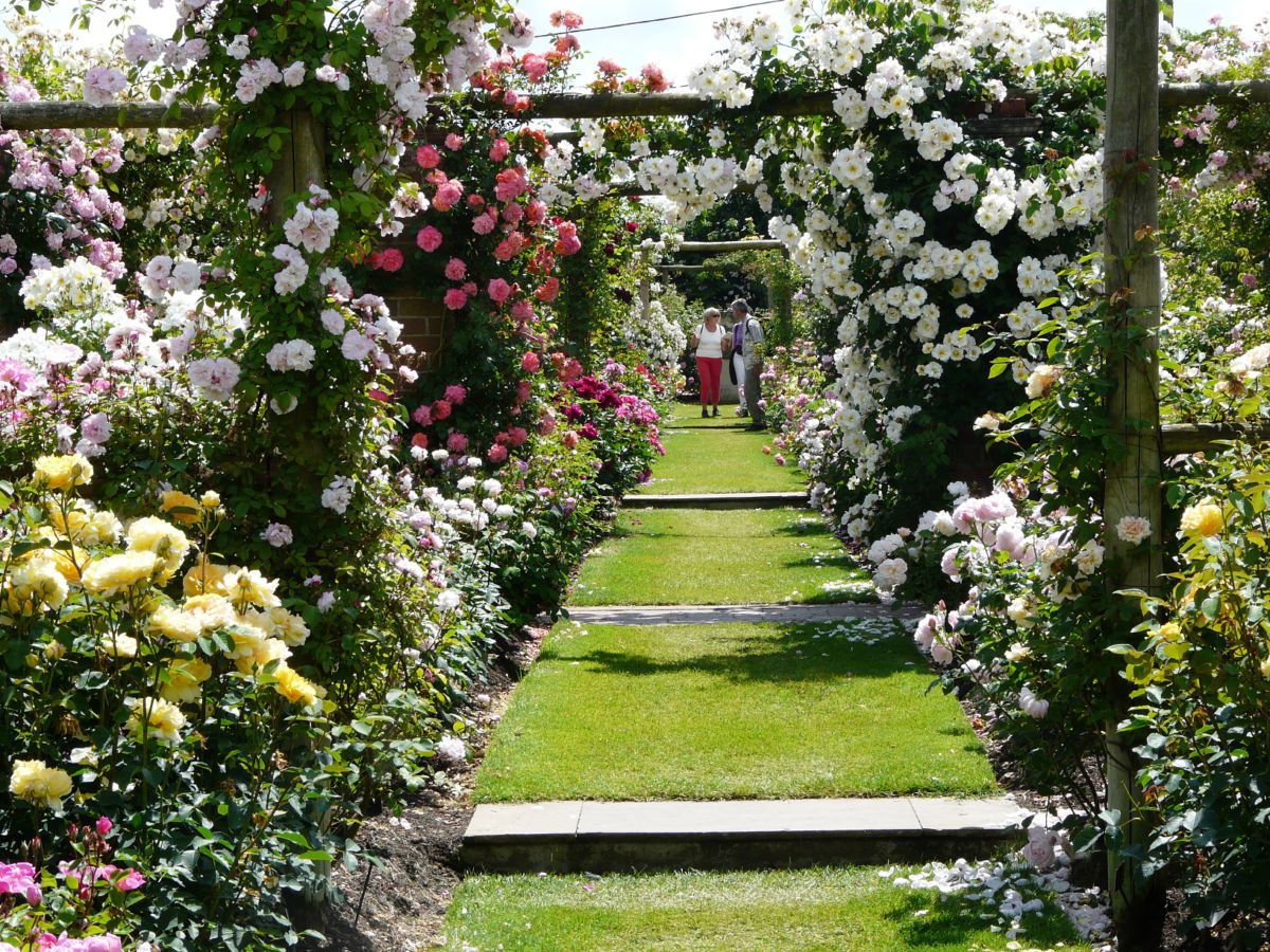 Erleben Sie Garten-Kultur vom Feinsten im Harrys