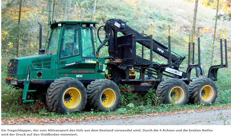 Forst nutzt Winterwetter