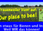 Heute Sommertagsumzug in Frauenweiler