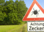 Zeckenschutzimpfung nicht vergessen