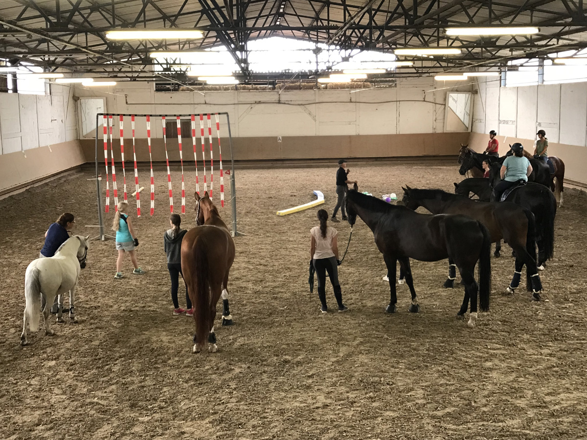 Gelassenheitstraining für Pferd und Reiter war ein voller Erfolg