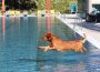 WieTalBad Wiesloch: letzter Öffnungstag am 15.09.2019