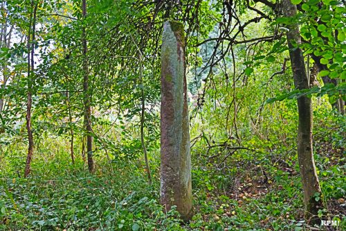 Steinerner Zeuge längst vergessener Kulturen – Der Menhir von Schatthausen