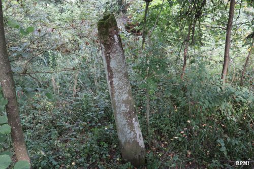 Heidensäule in Schatthausen
