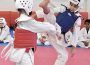 Tae-Kwon-Do Koleyko Wiesloch mit neuen Kinderkursen