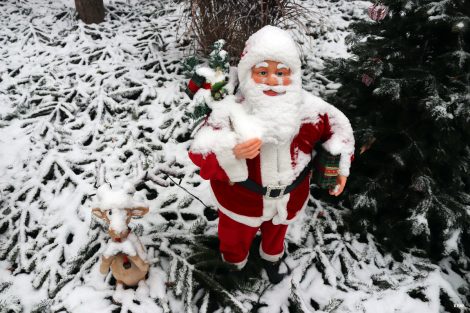 Der erste Schnee – Hoffnung auf weisse Weihnachten – Grosse Fotostrecke