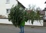 Tannenbaum-Aktion der EGJ Walldorf am 12. Januar