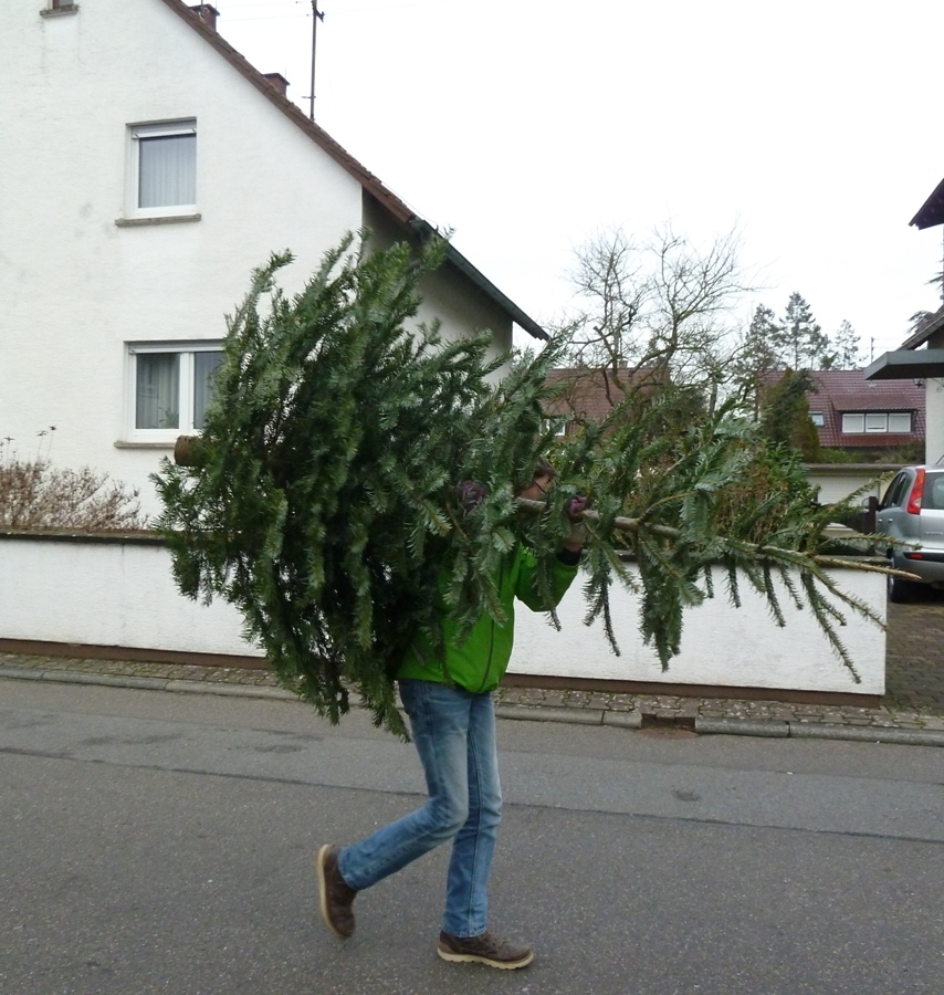 Tannenbaum-Aktion der EGJ Walldorf am 12. Januar