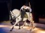 Circus Gebrüder Barelli vom 14. bis 17. März in Wiesloch