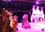 Circus Gebrüder Barelli verlängert um ein Wochenende in Wiesloch!