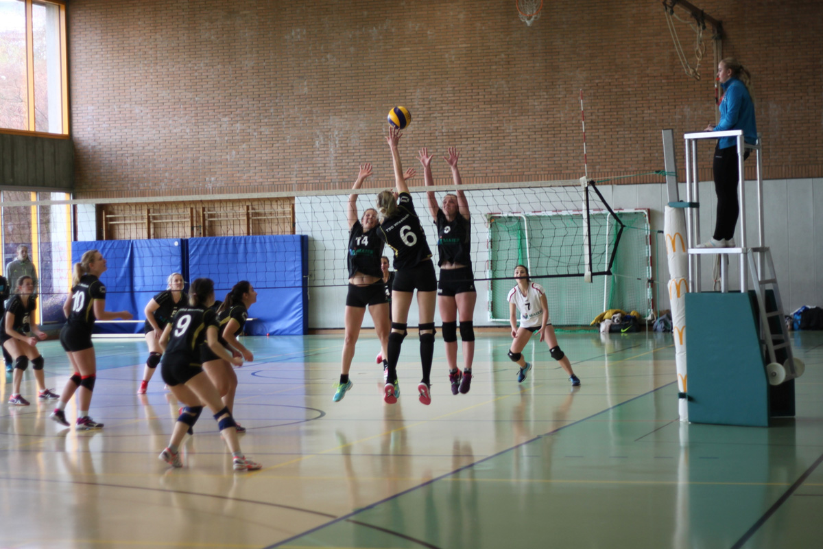 Volleyball Spielberichte TSG Wiesloch