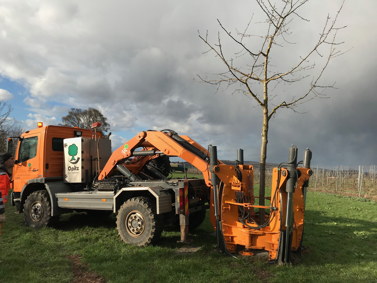 Großbaum-Pflanzmaschine nahm die Bäume huckepack