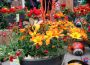 Funny Honey – Pflanzentaufe im Wagner FLORAPARK