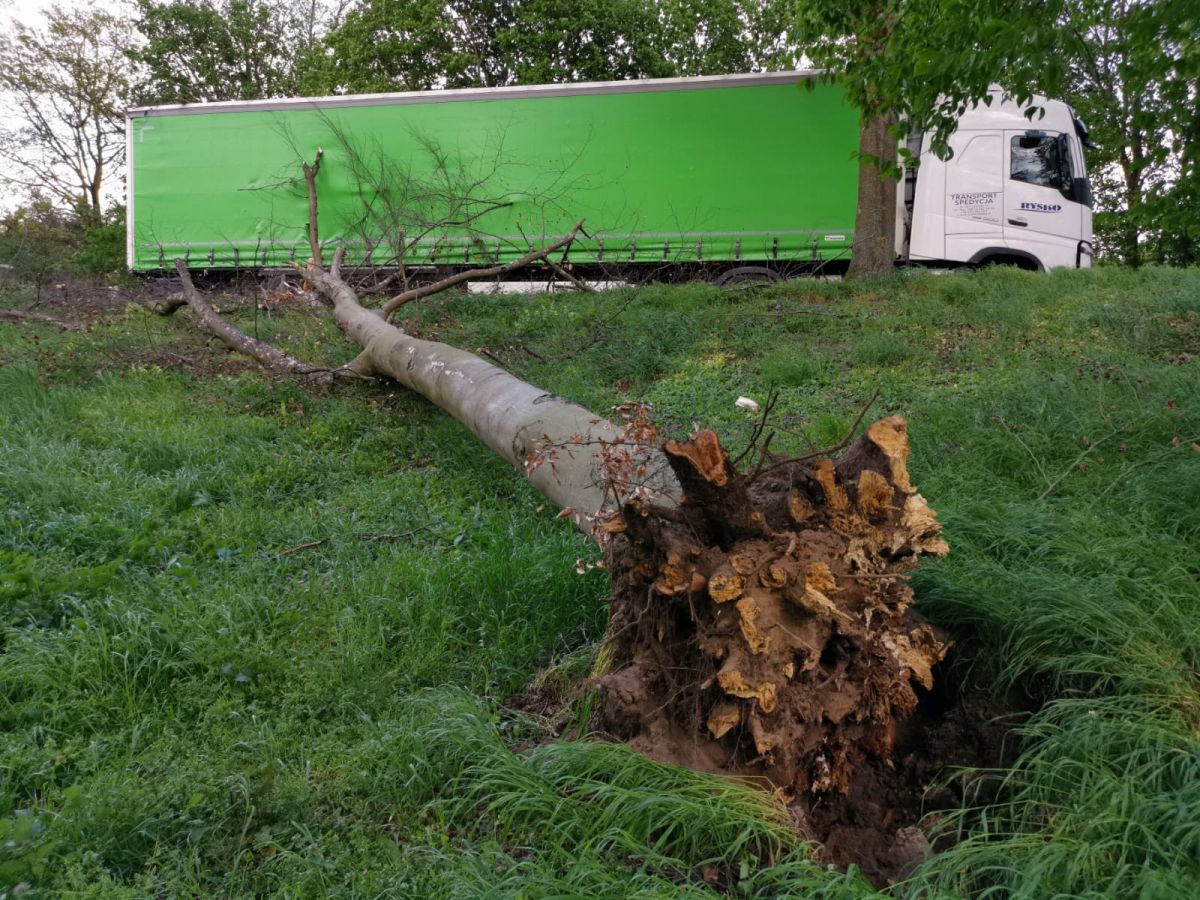 Zahlreiche Unwettereinsätze nach Sturm