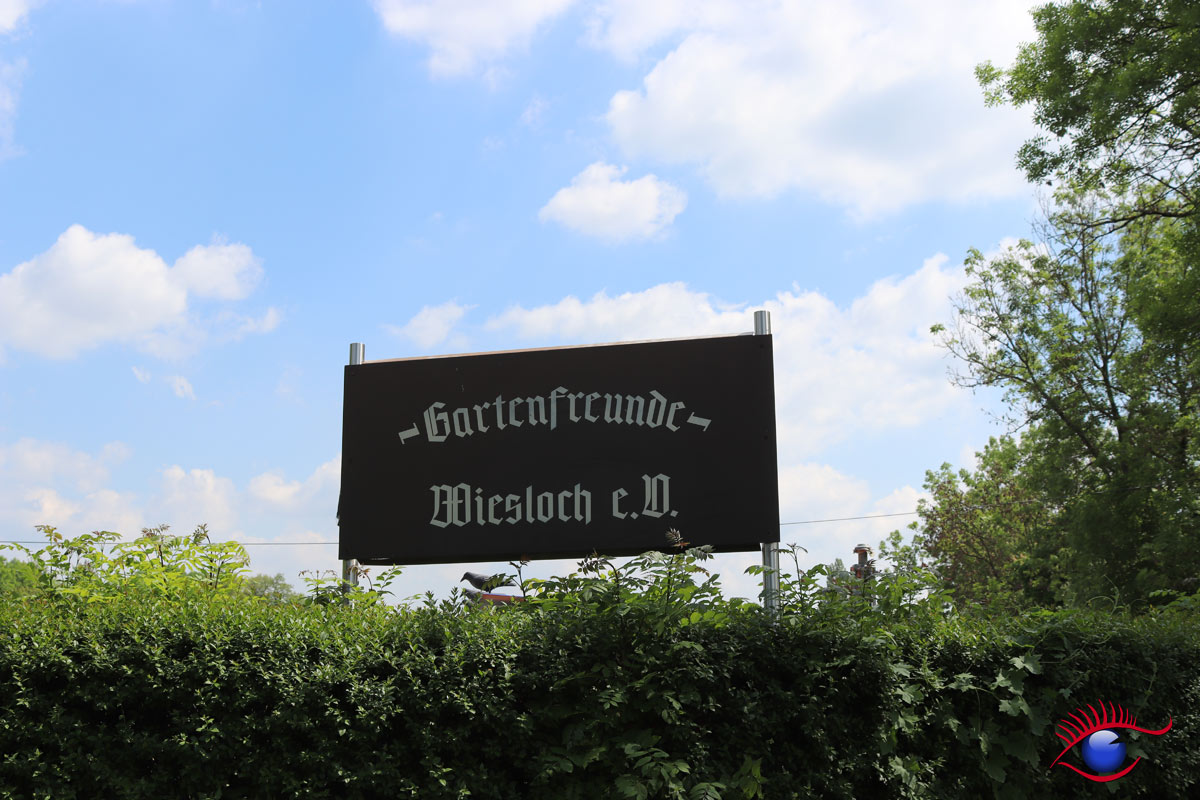 „Tag der offenen Gärten und Höfe“ ein ganz normaler Gartentag bei den Gartenfreunden Wiesloch