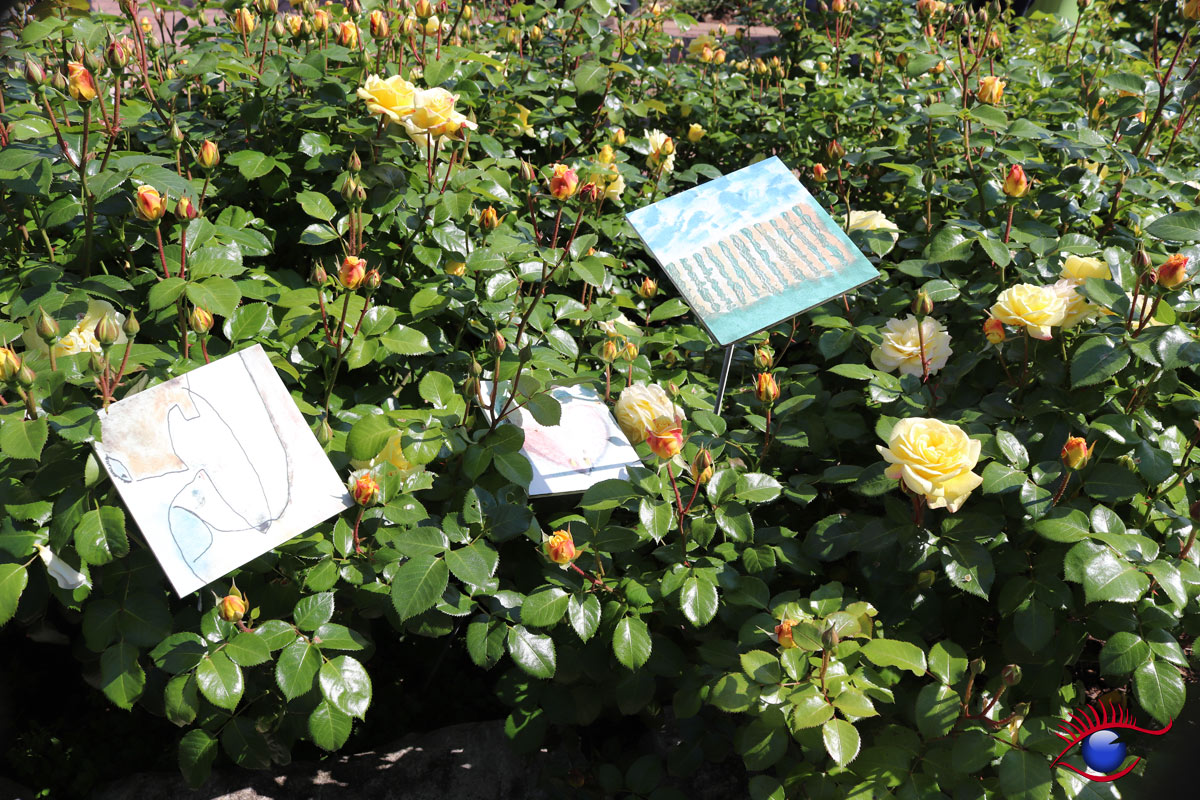 Tag Der Offenen Garten Und Hofe 2019 Beim Hospiz Agape Im Garten