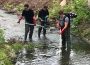 Fische und Krebse am Waldangelbach im Bereich der Baustelle abgefischt