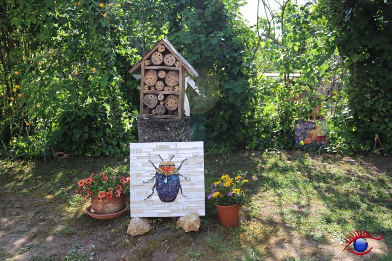 Tag der offenen Gärten und Höfe 2019 Einblicke in Privatgarten