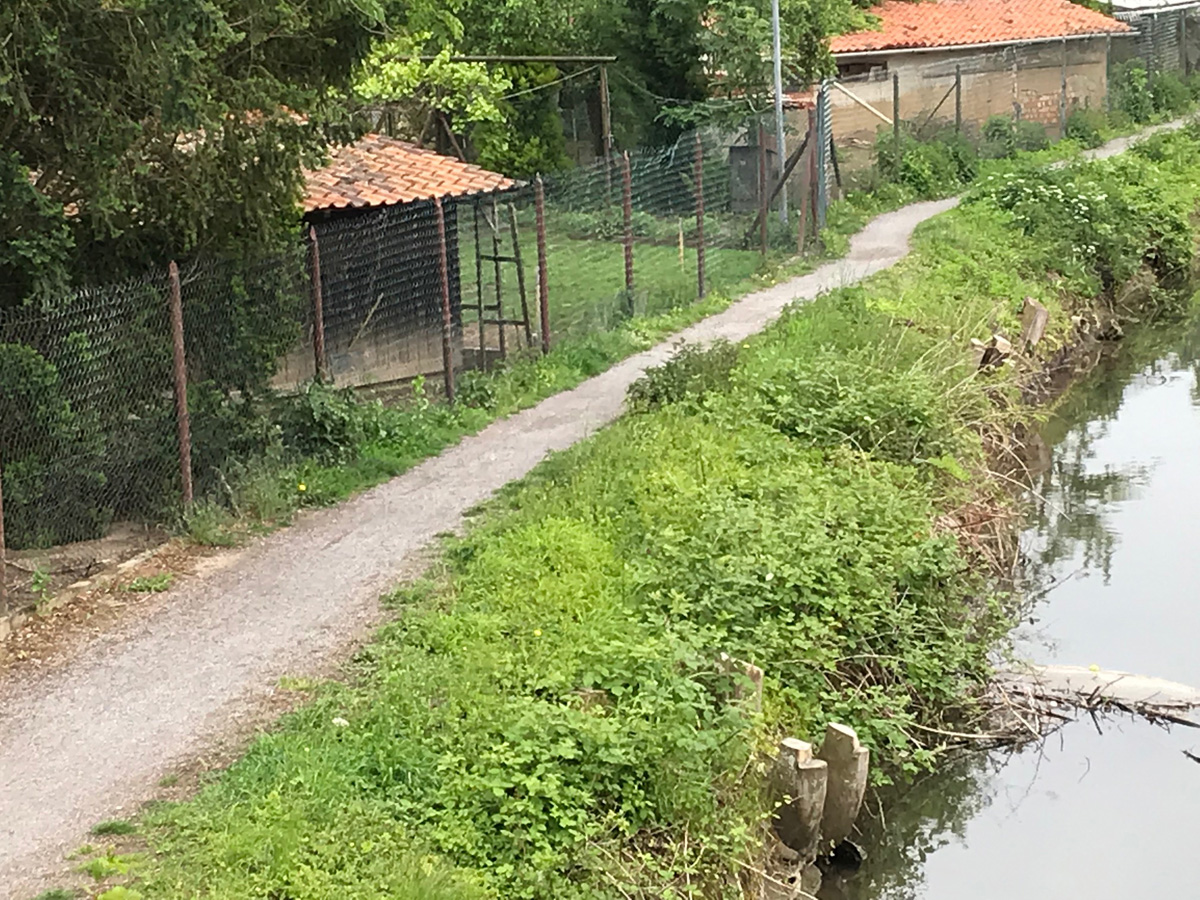 Wiesloch: Fußweg am Waldangelbach wird gesperrt