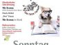 Sonntag, 25. August: Kulinarischer Bücherflohmarkt im Tom-Tatze-Tierheim