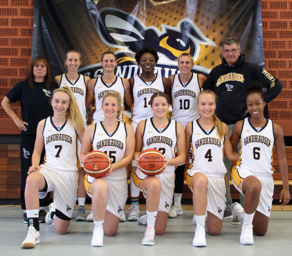 Wild Bees Basketball Sandhausen: Alles neu bei der Regionalliga-Damen!