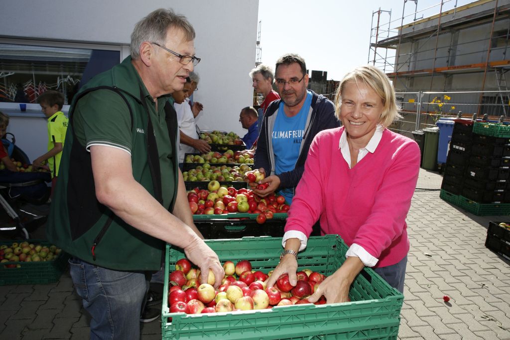 Walldorf: Apfelsafttag am 21.09. mit großem Zuspruch – sechs Tonnen Äpfel geerntet